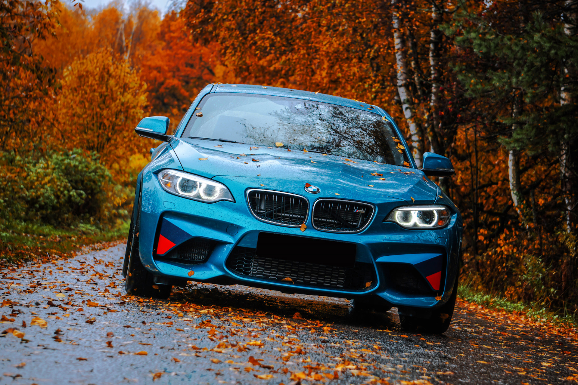 Чиптюнинг BMW от Protuningfreaks Чиптюнинг BMW от Protuningfreaks