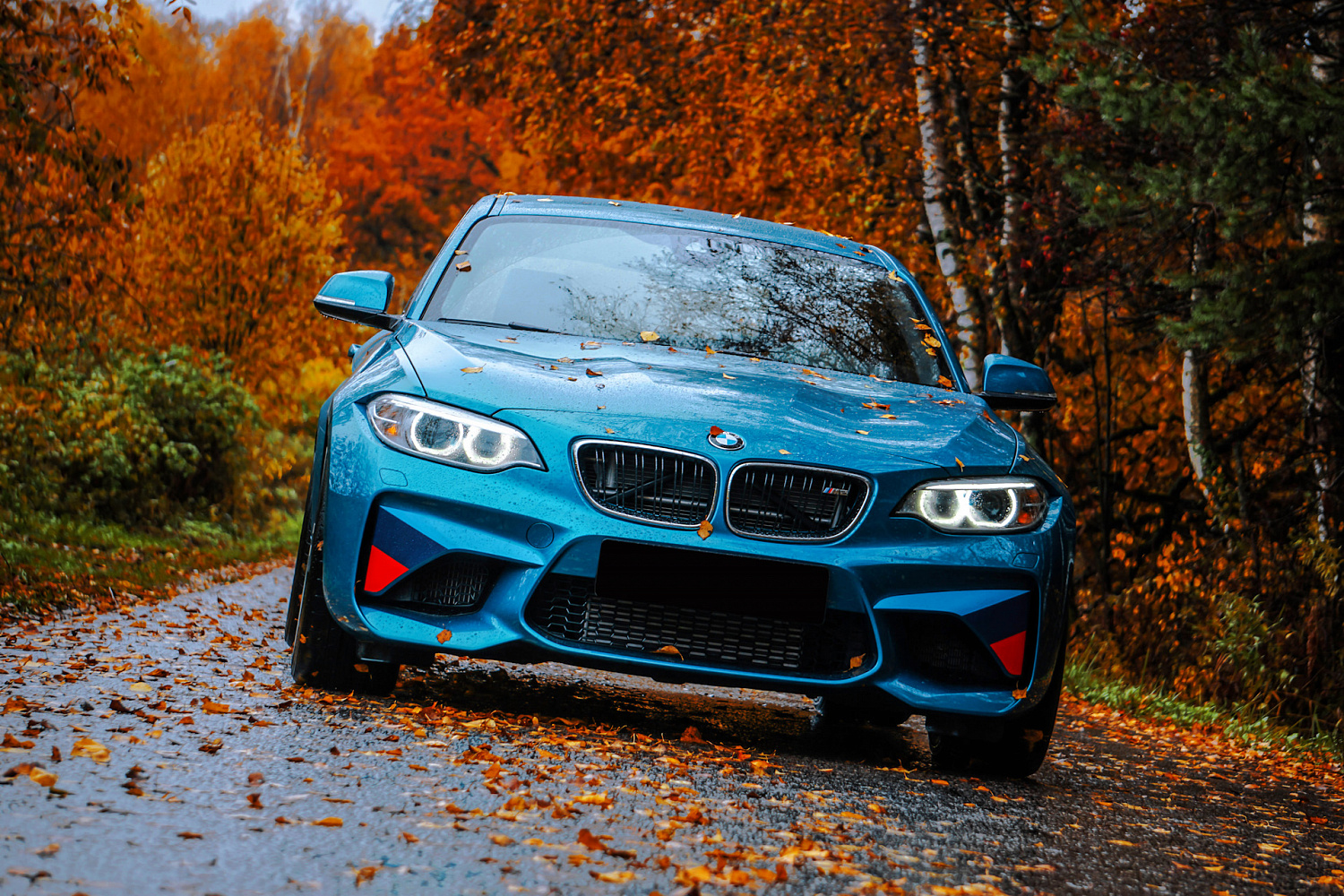 Чиптюнинг BMW от Protuningfreaks